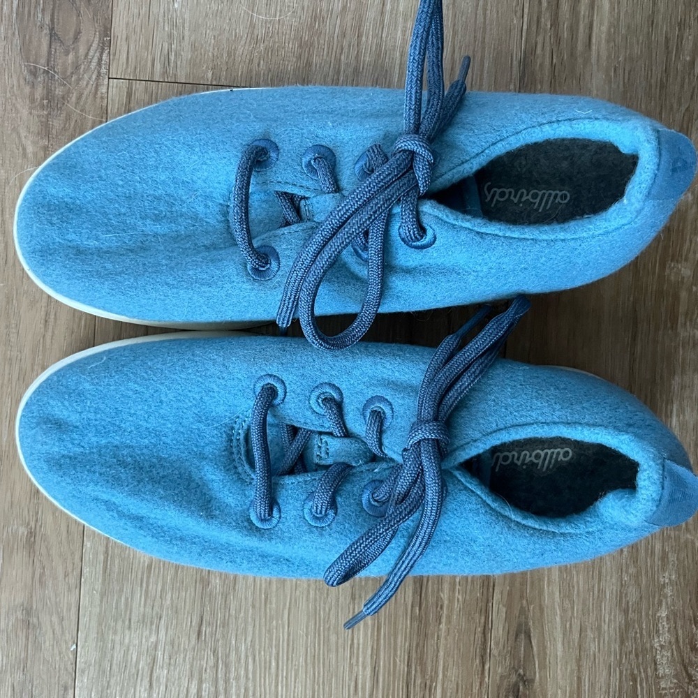 Allbirds! Excellent condition.